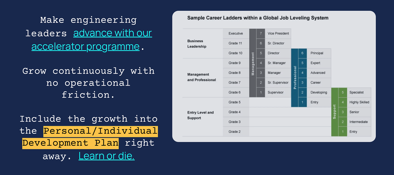 Screenshot z Marianova webu ukazující ukázkovou career ladder založenou na Radford Global Scale, s Manager, Professional a Support tracky.